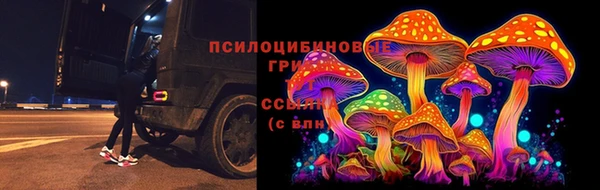 spice Беломорск