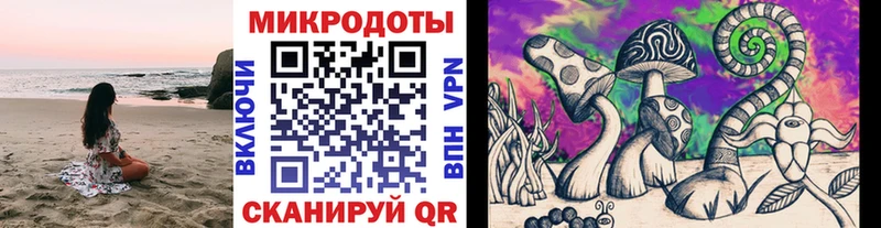 Галлюциногенные грибы Psilocybine cubensis даркнет сайт Гороховец